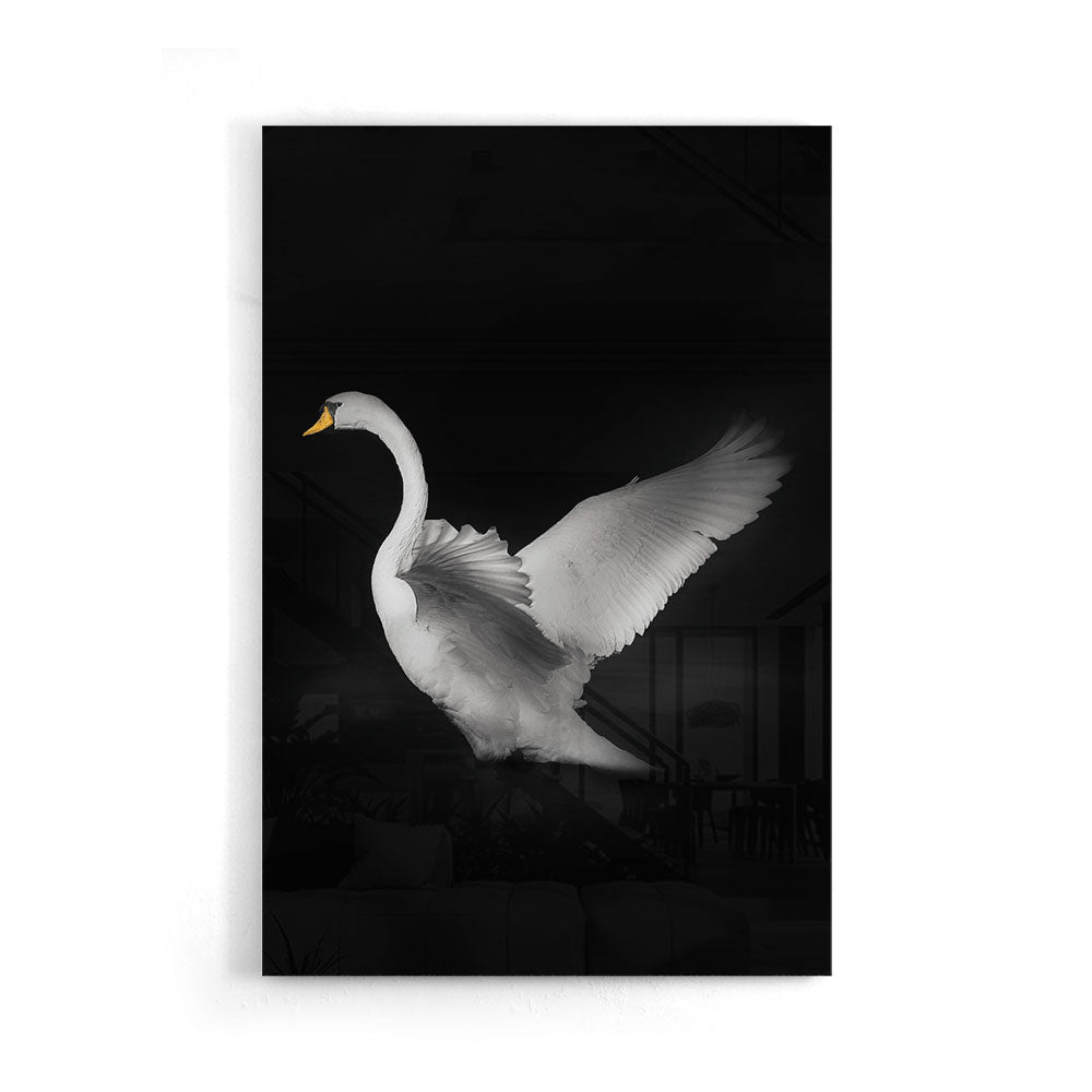 Fotografie van een flapperende zwaan detail als glasschilderij op groot formaat