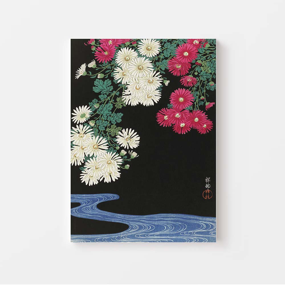 Ohara Koson. Een Japanse Kunstenaar. Op deze canvas in baklijst is 'Chrysanthemums' te zien. Prachtige bloemen geschilderd tegen een zwarte achtergrond. XLKunst