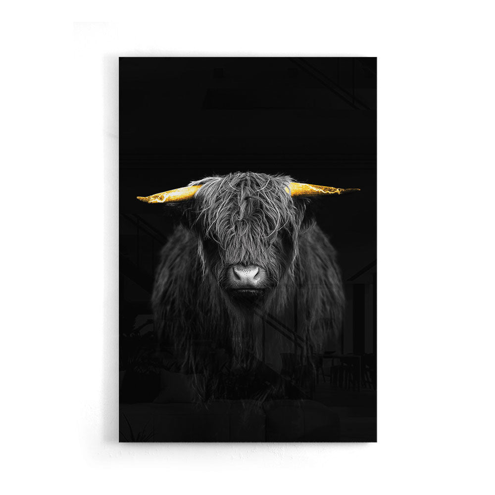 Fotografie van een os met gouden hoorns detail op luxe glasschilderij op groot formaat