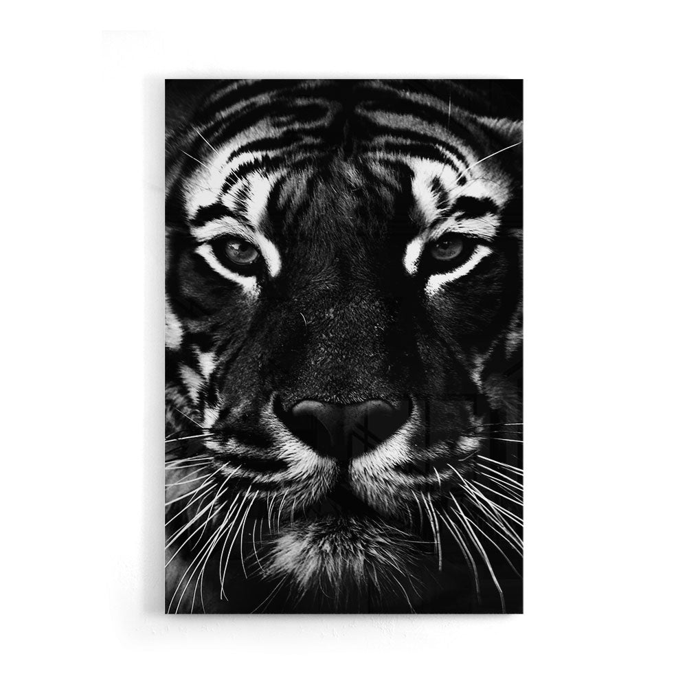 Fotografie van een tijger in Zwart-wit als luxe glasschilderij op groot formaat