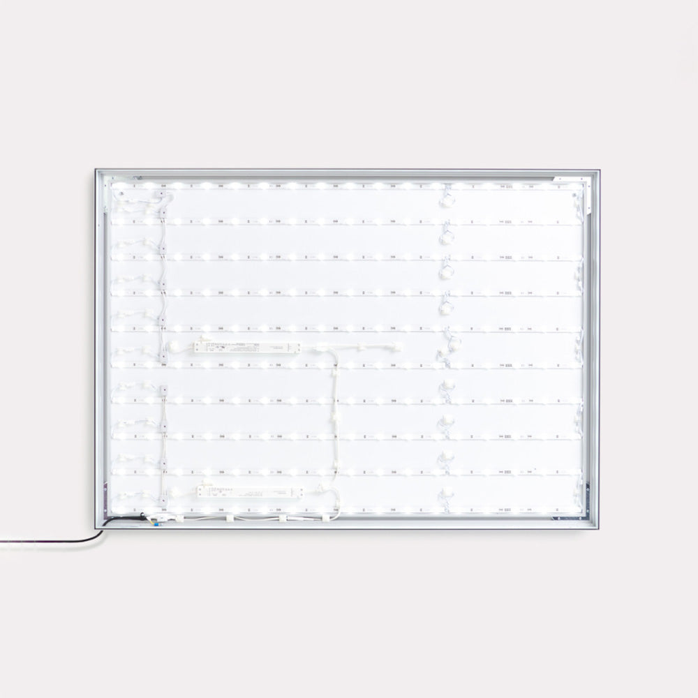 Lily Lights Frame - Wit - 50 x 50