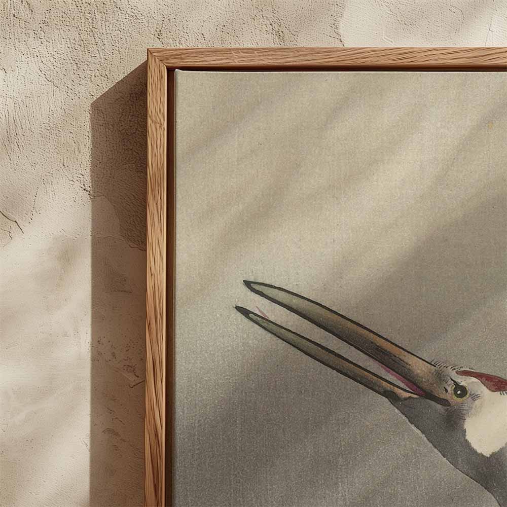 Ohara Koson was een Japanse Kunstenaar. Op deze canvas in baklijst is de print 'Two Cranes' te zien. Twee kraanvogels. Grote kunst voor in jouw interieur. 