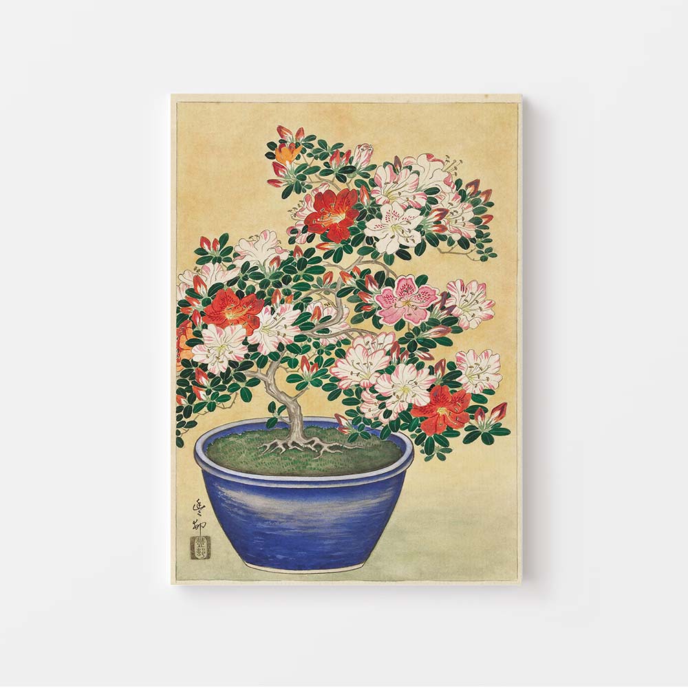 Ohara Koson een Japanse Kunstenaar, Blooming Azalea in Blue Pot te zien. Prachtige rode en roze Heester bloemen in een blauwe pot geschilderd. Als luxe canvas. 