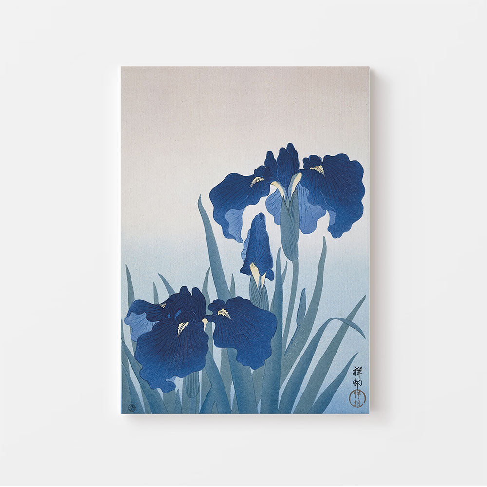 Japanse Kunstenaar Ohara Koson, op deze canvas in baklijst is de print 'Blue Iris' te zien. Perfect voor een Japandi interieur. Grote schilderijen bij XLKunst.