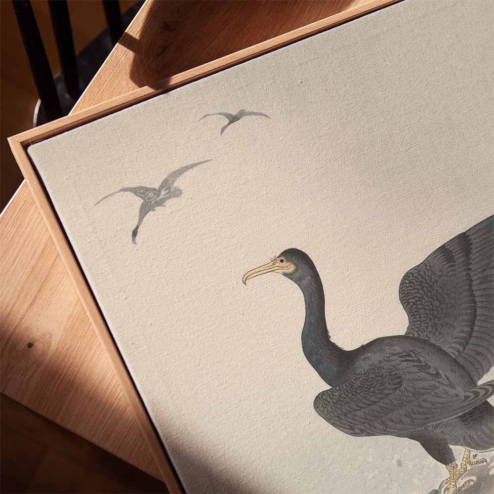 Ohara Koson was een Japanse Kunstenaar. Op canvas in baklijst 'Great Cormorant'. Al onze canvassen zijn beschikbaar op groot formaat. Een perfecte eye-catcher.