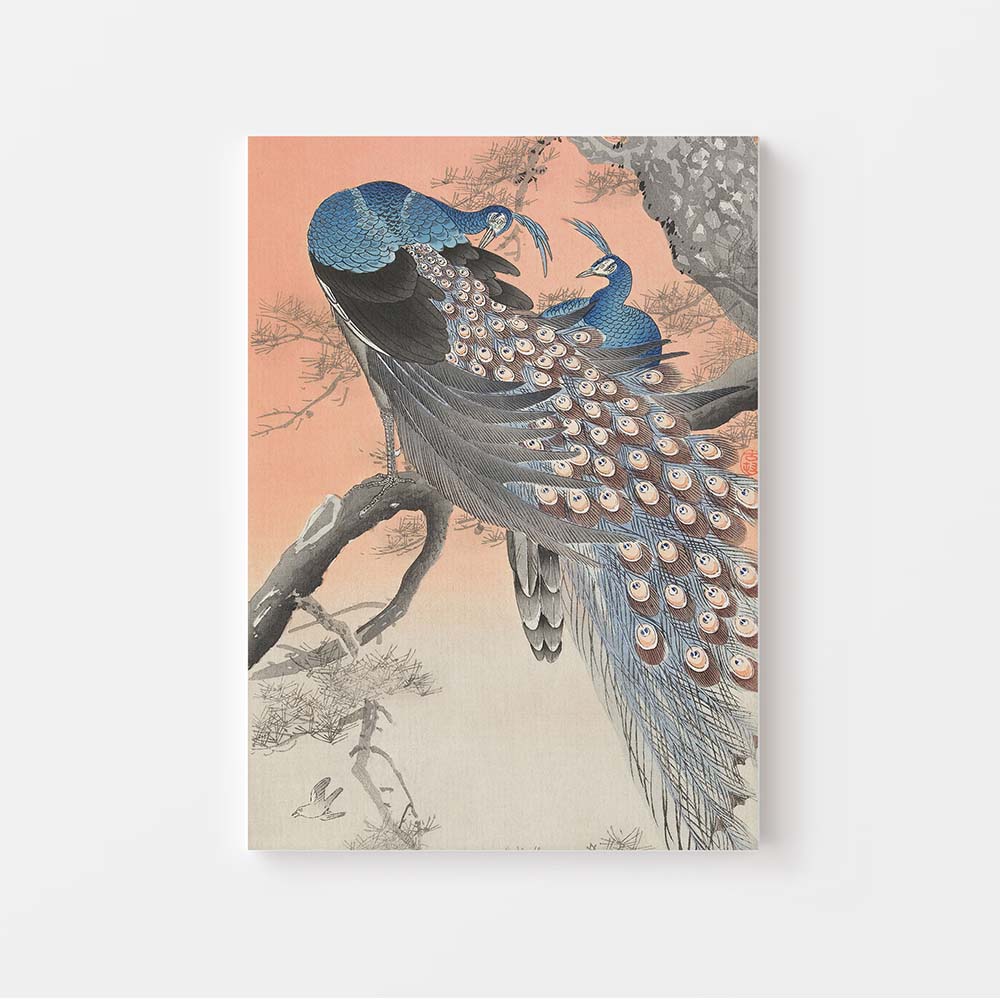 Ohara Koson een Japanse Kunstenaar 'Two Peacocks on tree branch'  Breng de natuur in huis. Prachtige oranje en blauw tinten. Groot canvas schilderij. XLKunst.nl