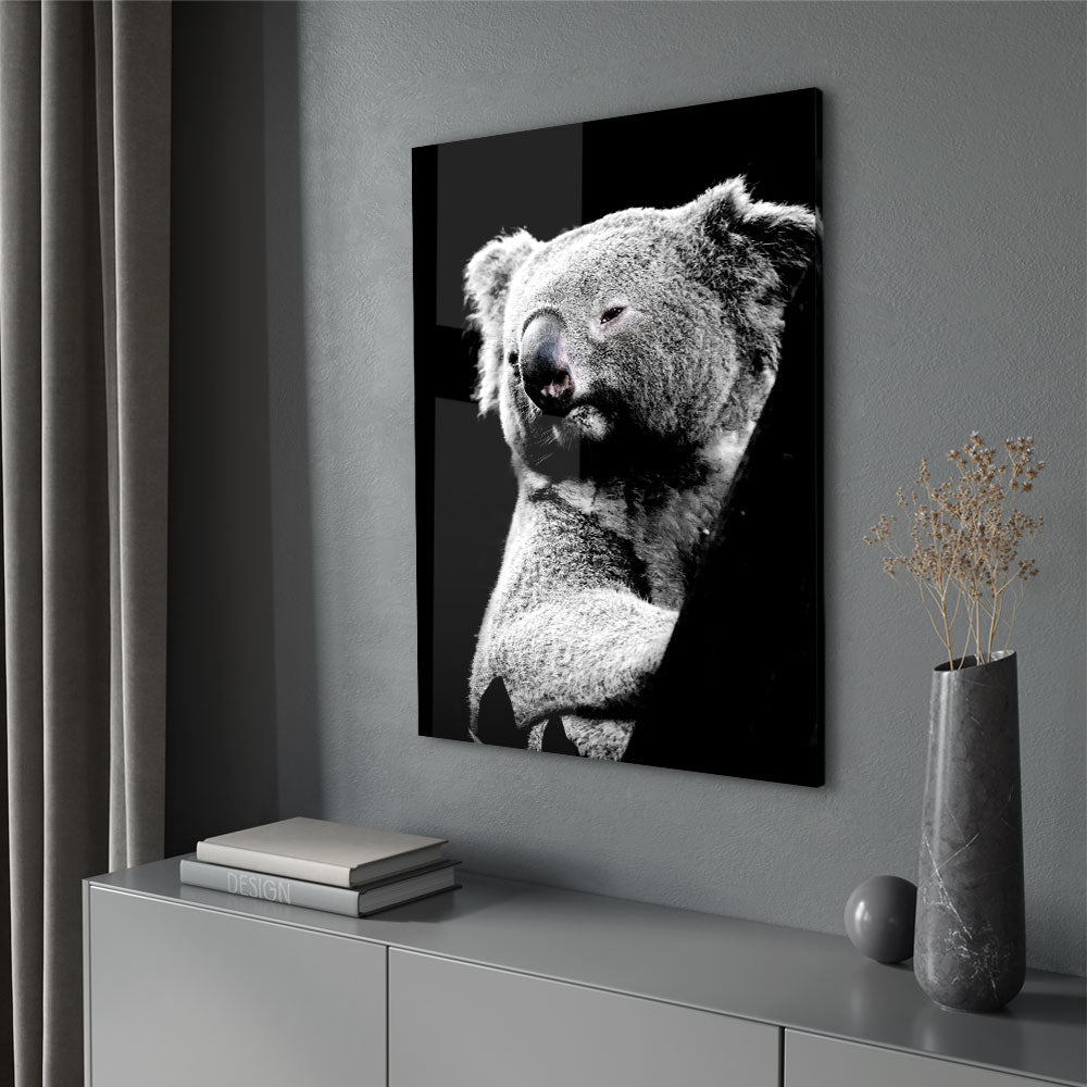 Fotografie van een schattige koala in Zwart-wit als luxe glasschilderij op groot formaat