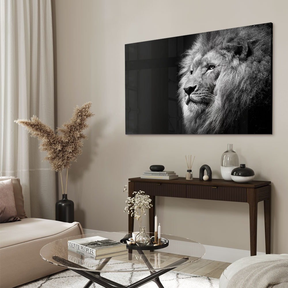 Fotografie in zwart wit van een prachtige leeuw met manen als glasschilderij op groot formaat