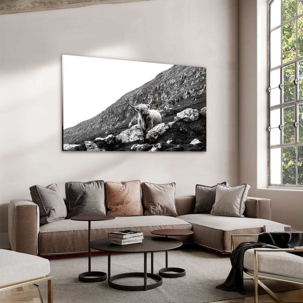 Fotografie in zwart wit van een os in landschap gebergte als glasschilderij op groot formaat