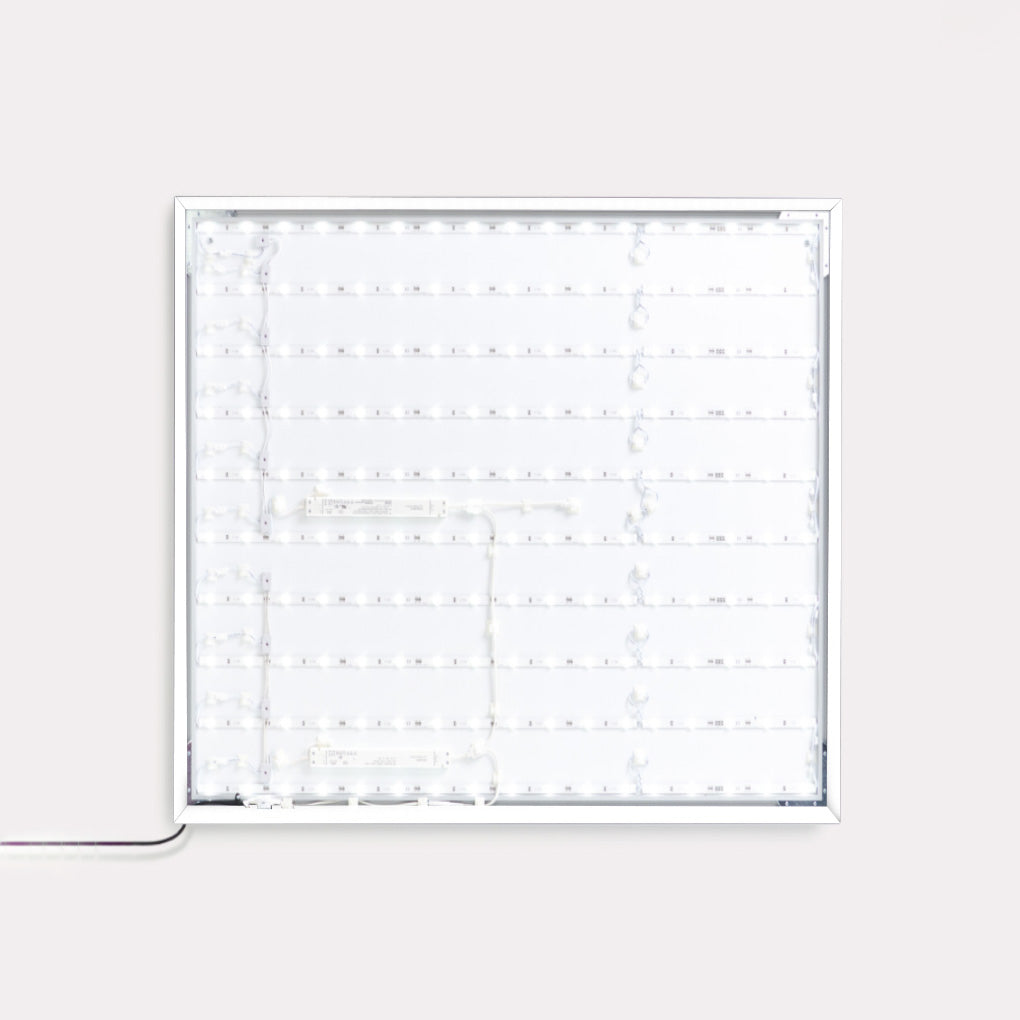 Lily Lights Frame - Wit - 70 x 70