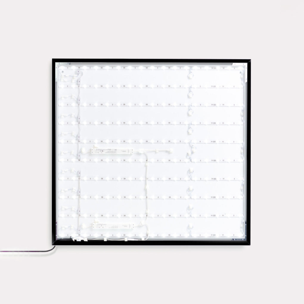 Lily Lights Frame - zwart - 70 x 70